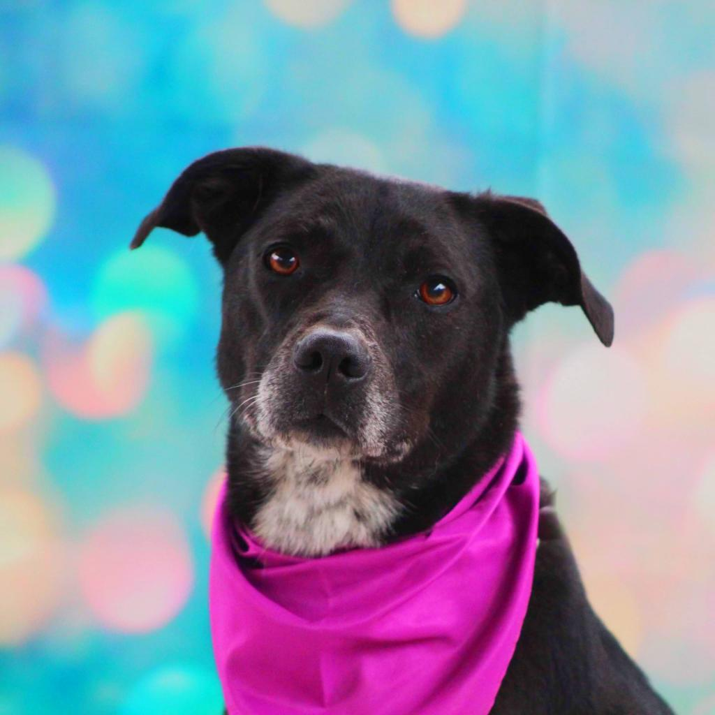 Laila aka Quintana JuM*