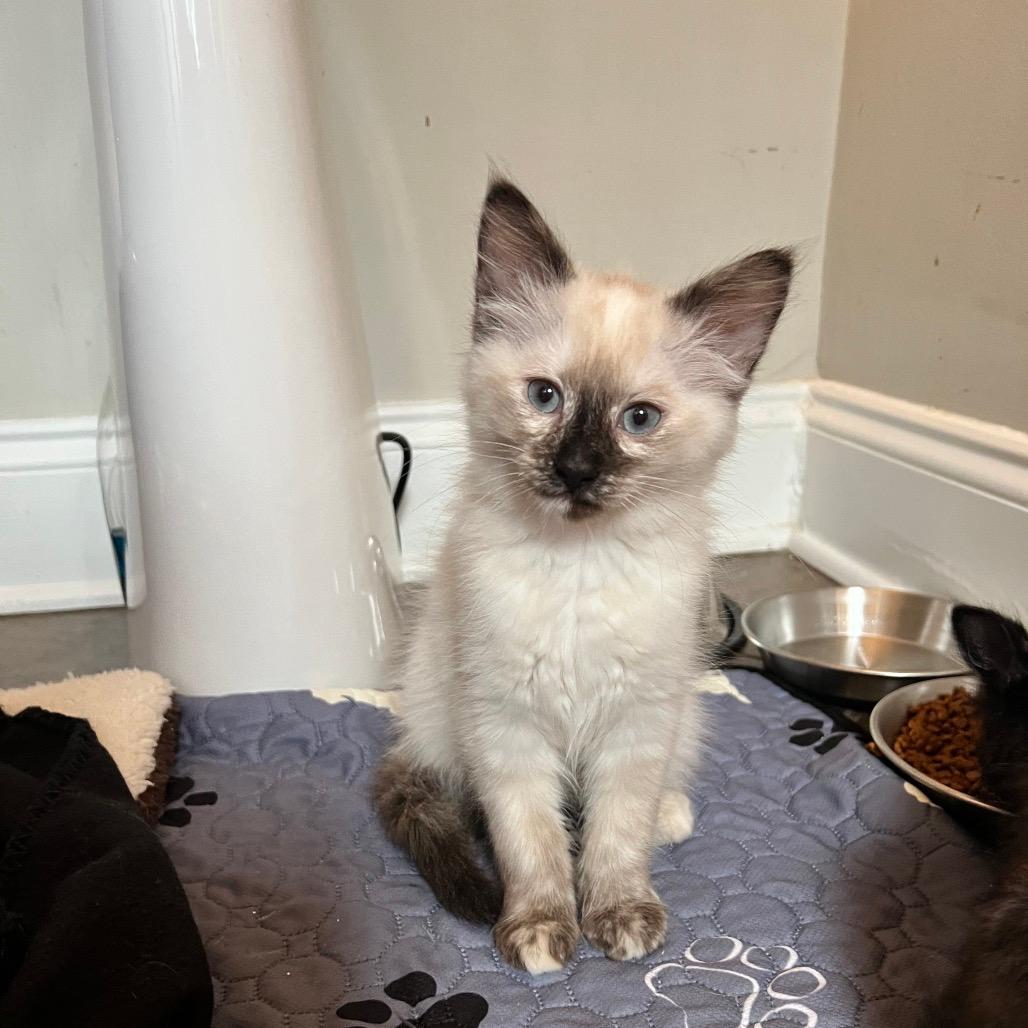 Read ✔️✔️(Ree)