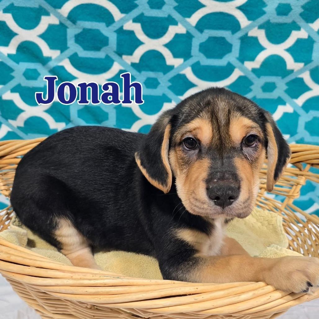 Jonah
