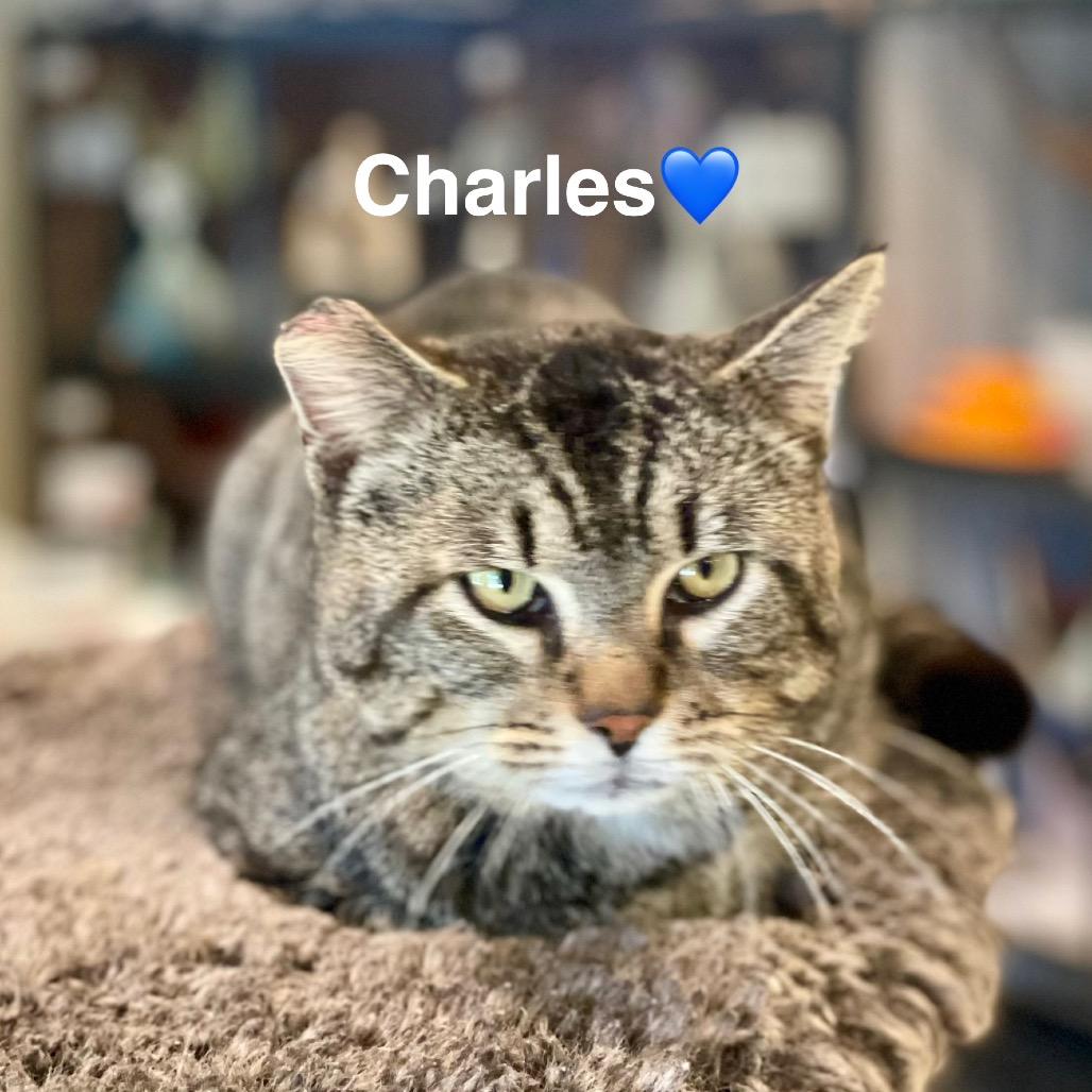 Charles