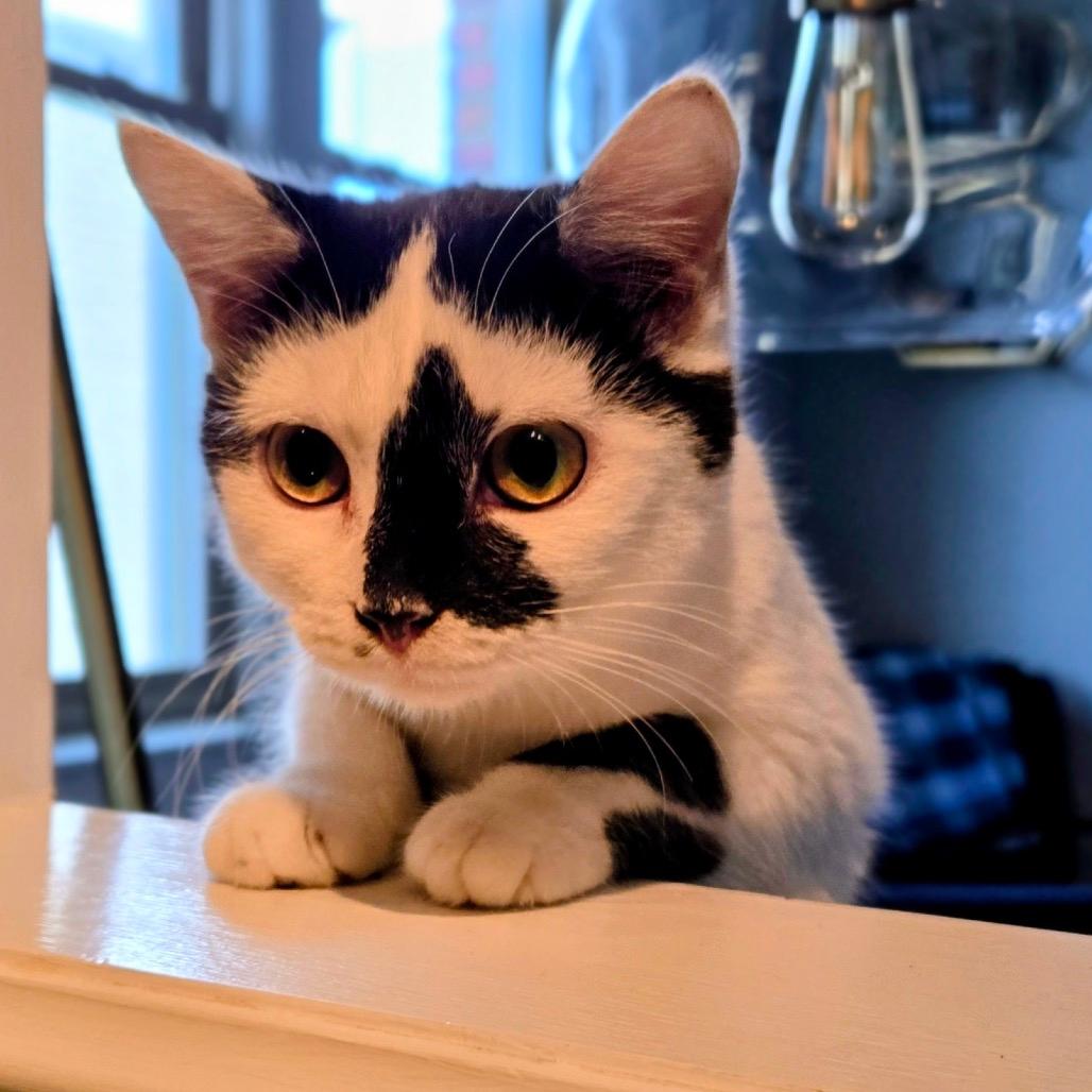 Model Sisters: Naomi (16824)