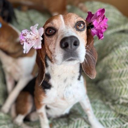 Ellie (bonded with Matty)