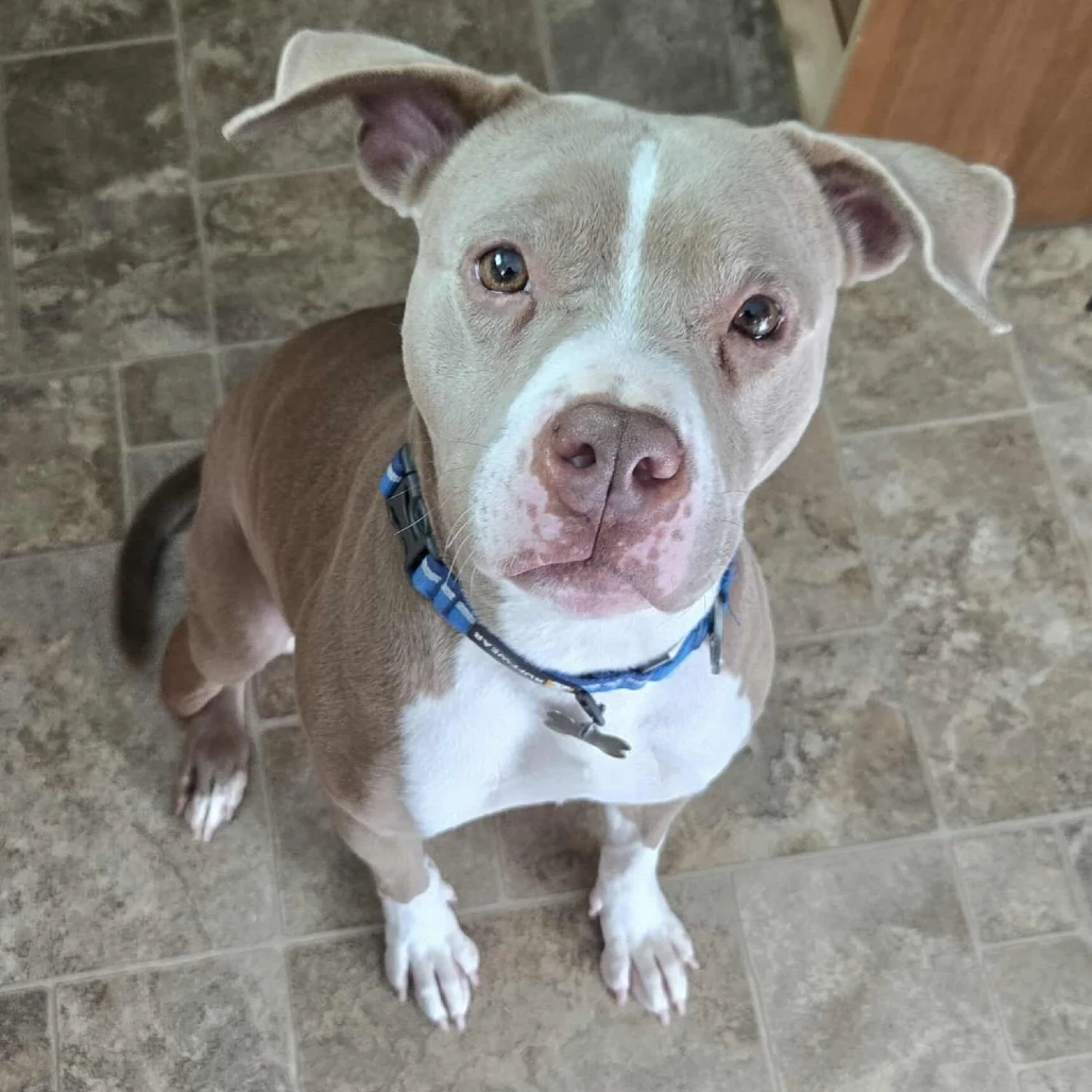 Cinderella (fka Roxy)