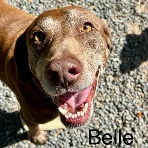 Belle (bonded to Daisy)