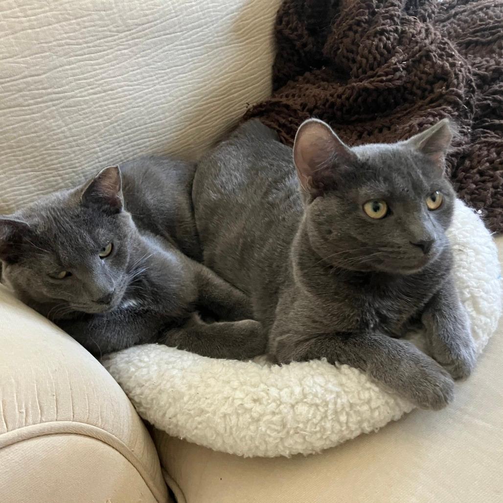 Sunset and Horizon - We're a bonded pair!