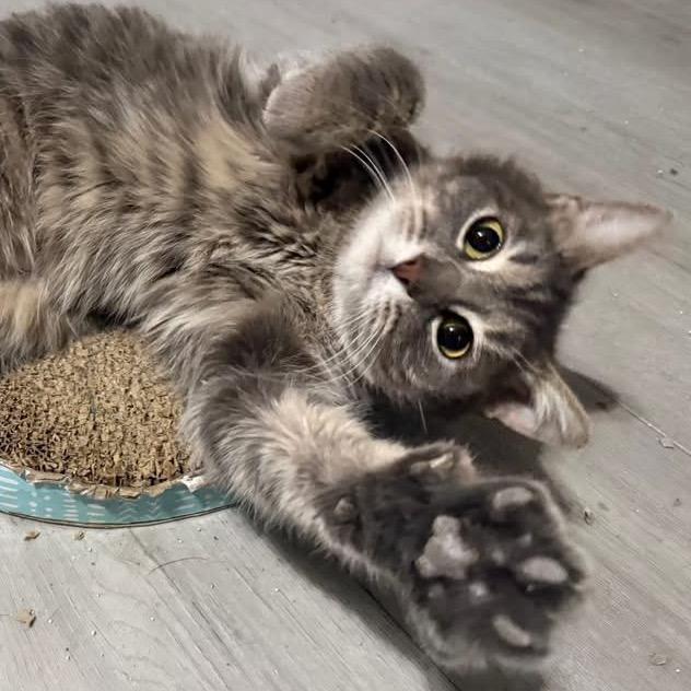 Eve **Off-Site Foster Home**
