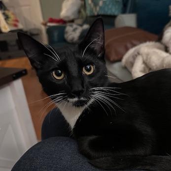Liliana