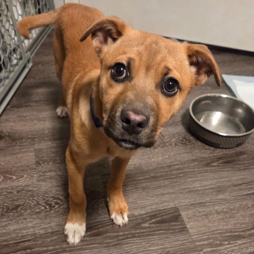 341 (2026) Hannah Bilka