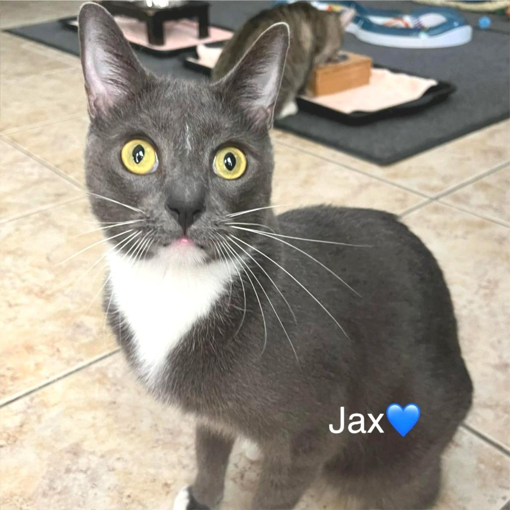 Jax