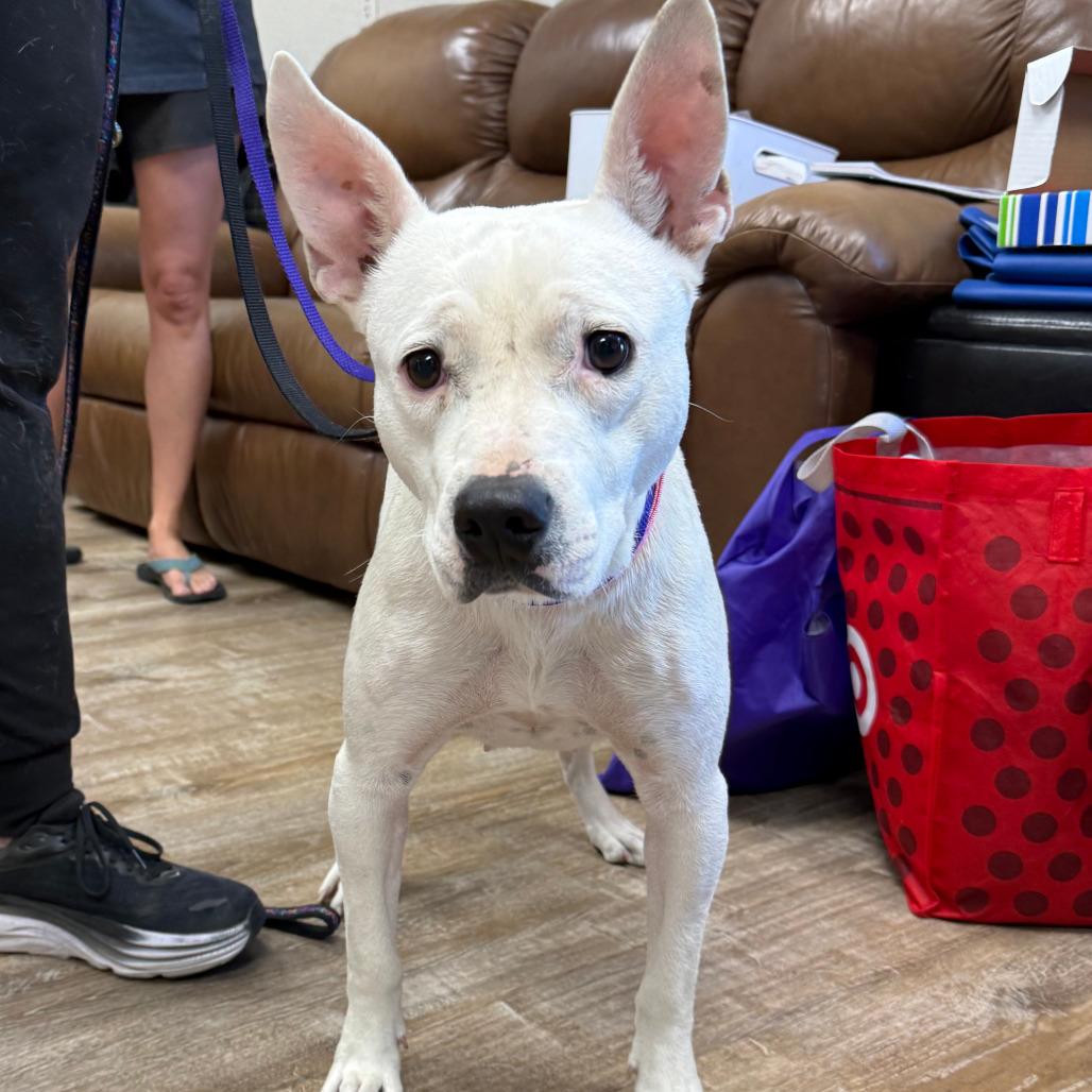 326 (2026) Mama Elsa