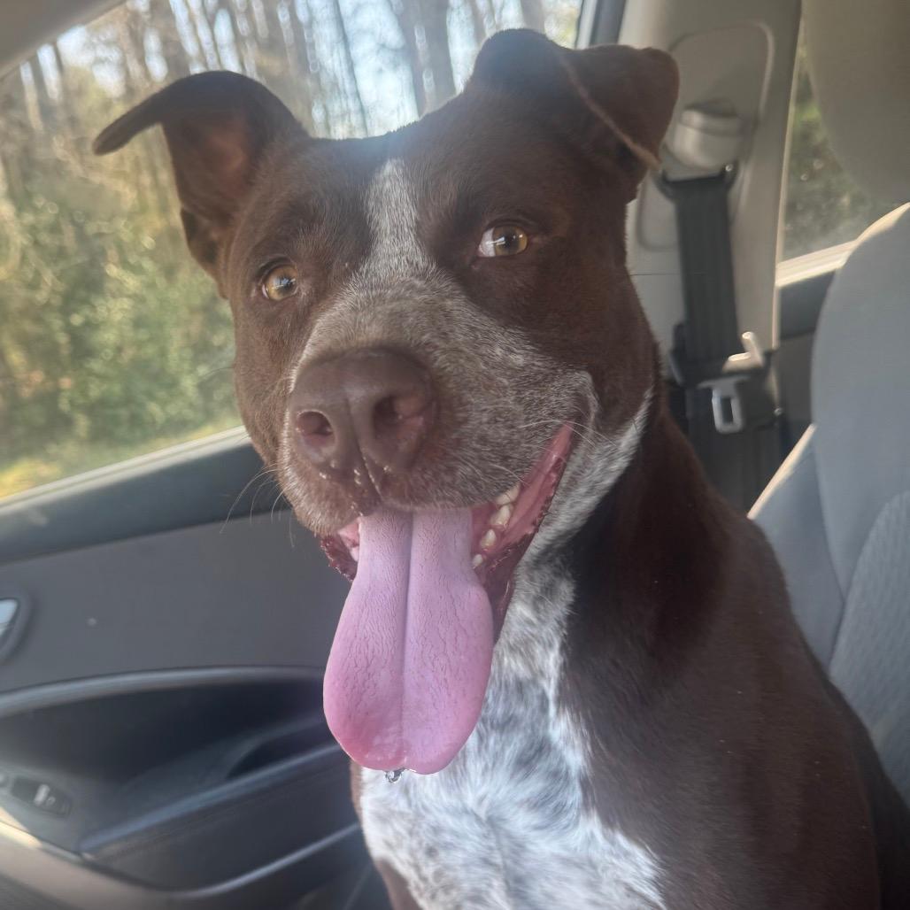 Ralphie - In Foster