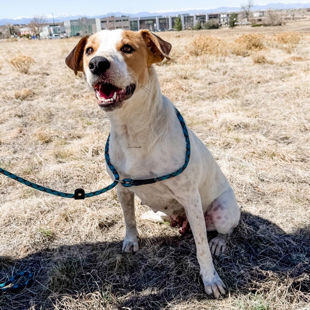 906 (2025) Mama Sugar