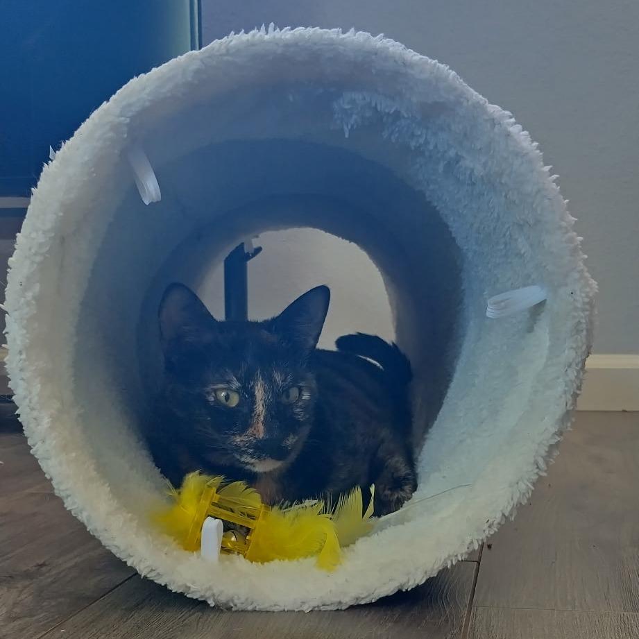 Chloe