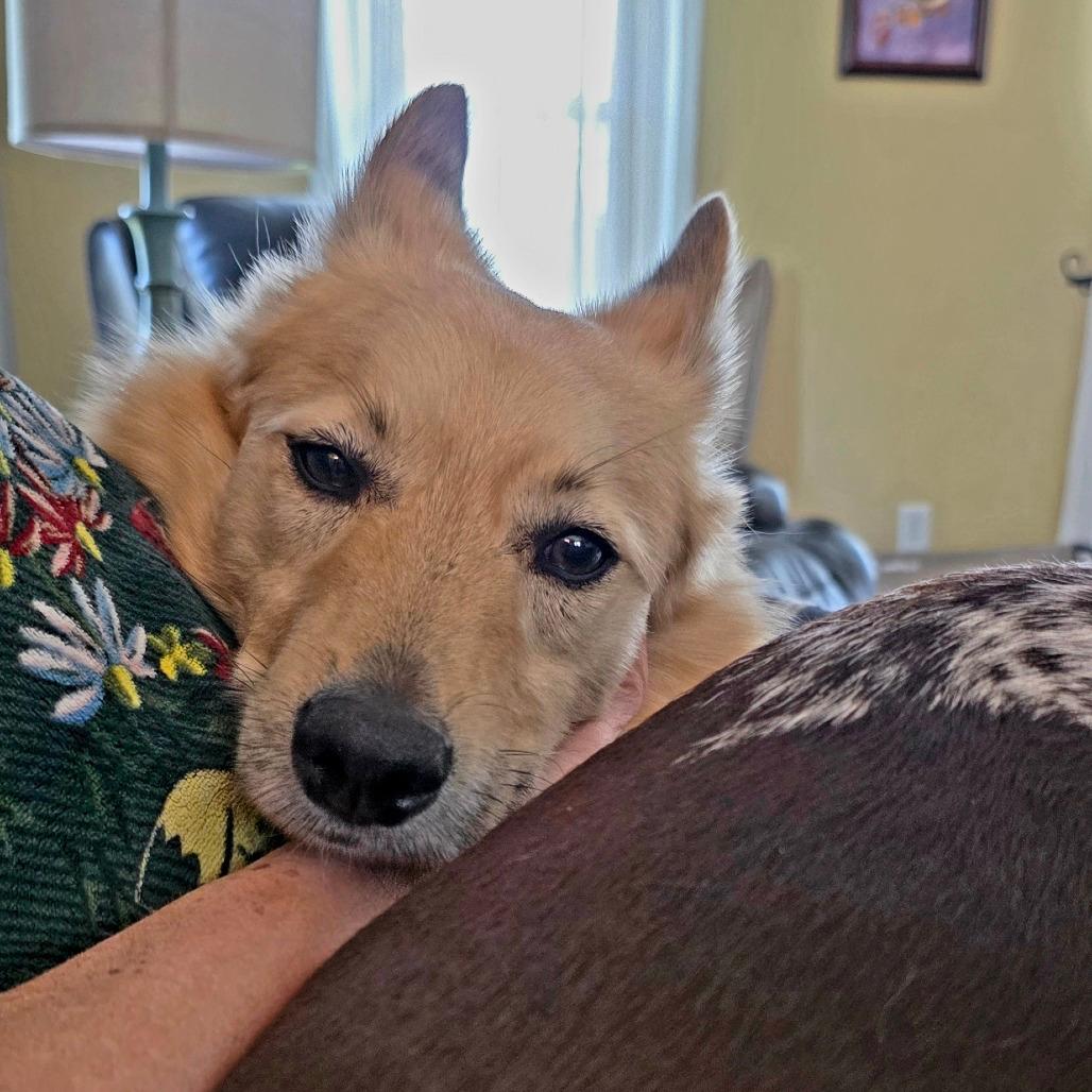Max