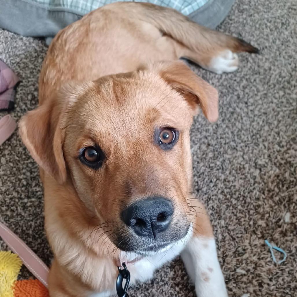 Pixel