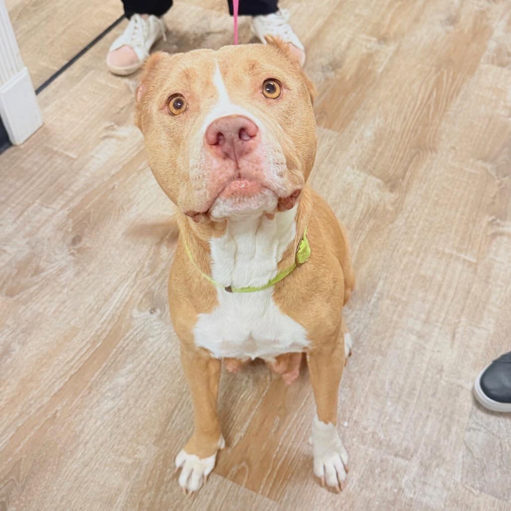 221 (2026) Mama Luna 