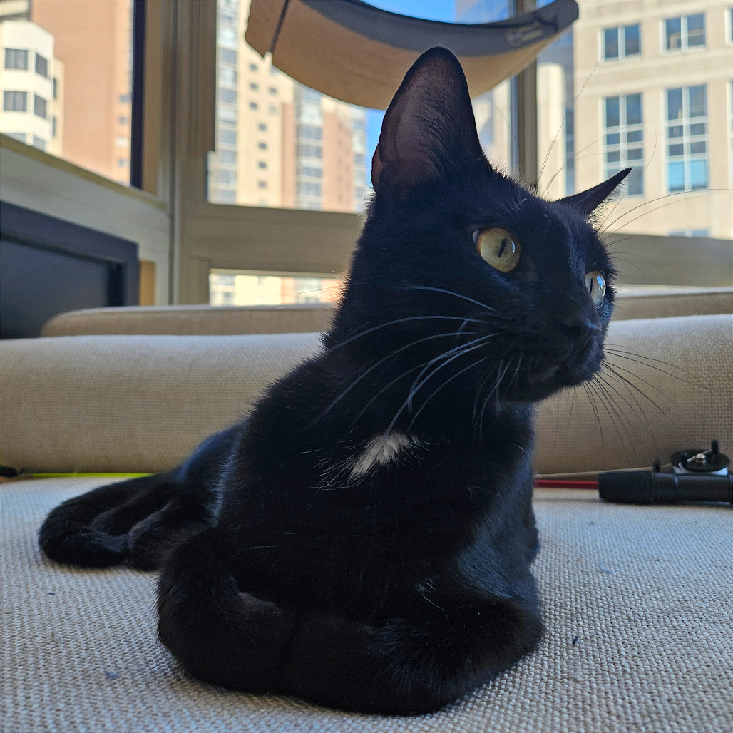 Winnie the Pooh Family - Kanga (mom)