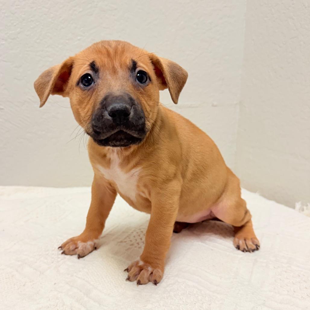 226 (2026) Andromeda