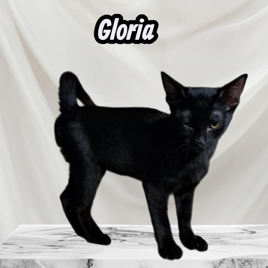 Gloria