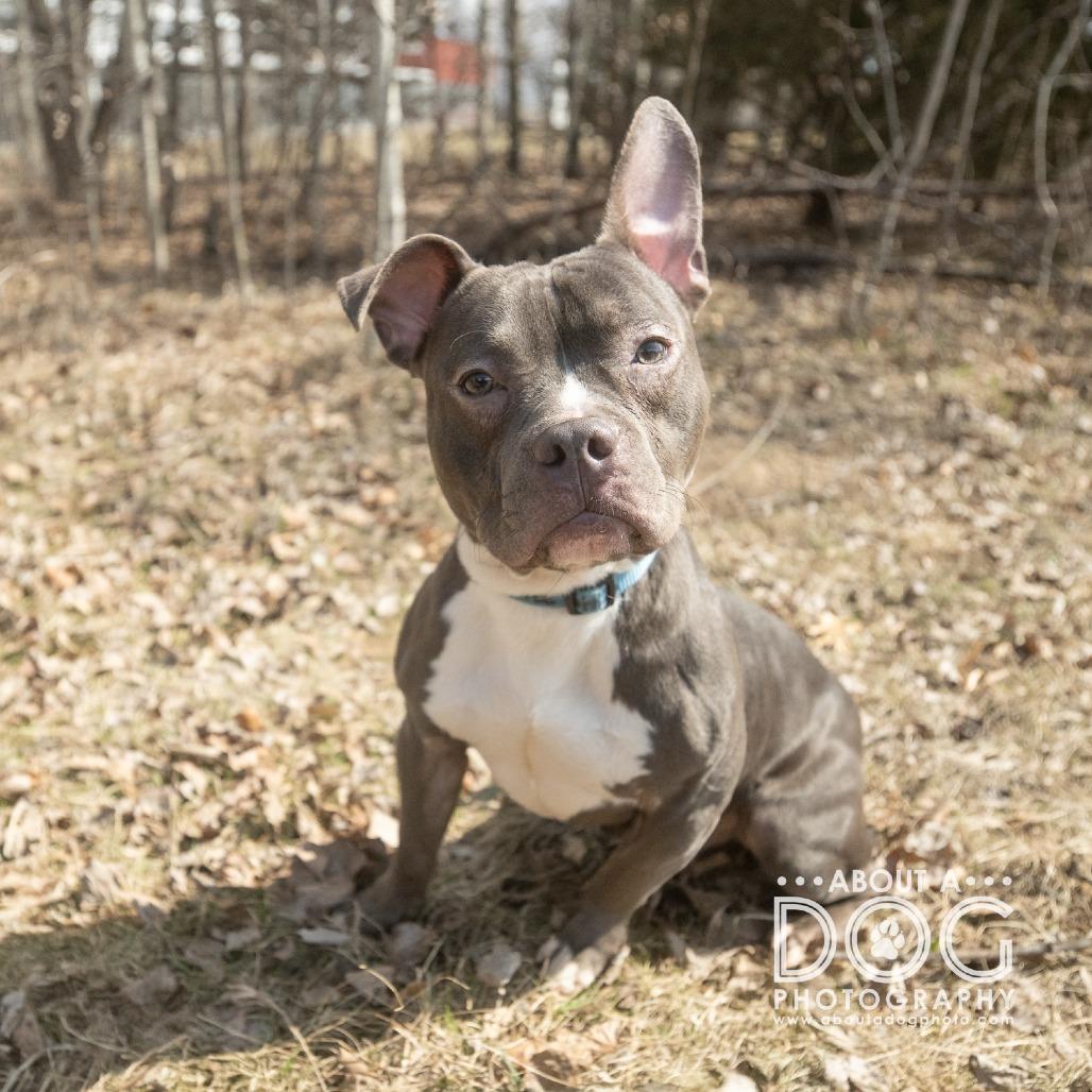Capone