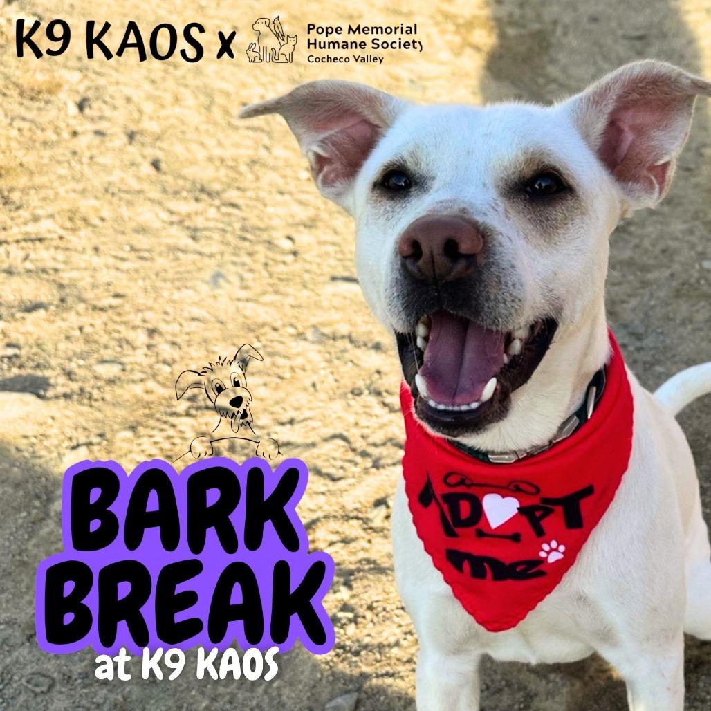 String Bean *in foster*