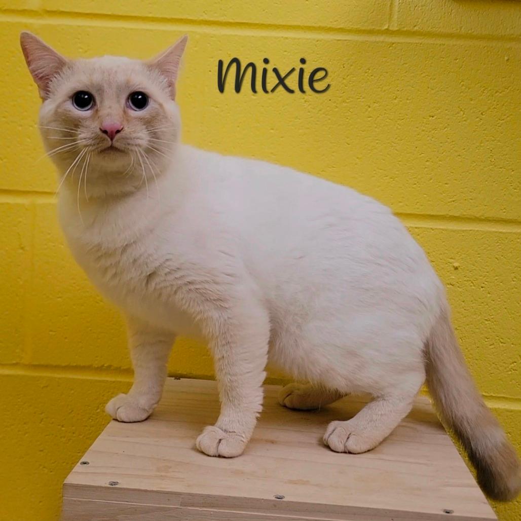 Mixie