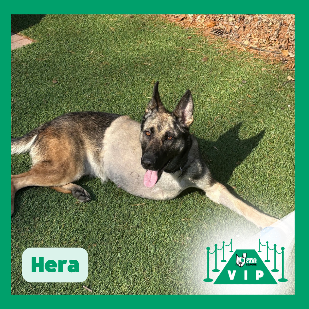 Hera