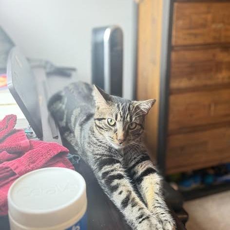 Henry