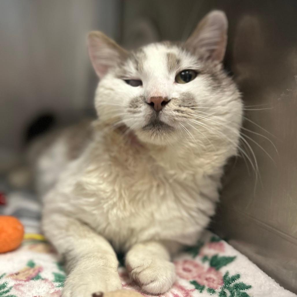 Kevin Barnacle Jones