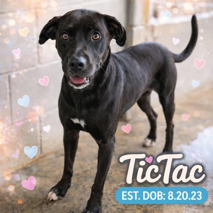 Tic-Tac 081901
