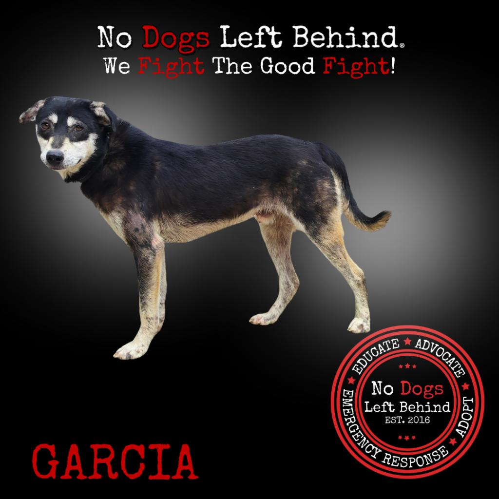 Garcia 9895