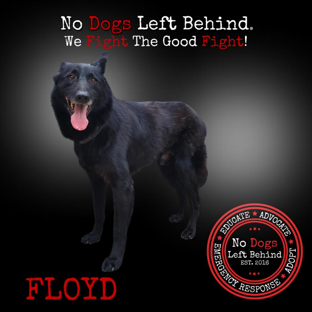 Floyd 3784