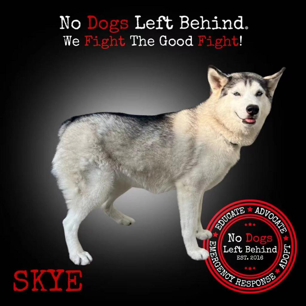Skye 9409
