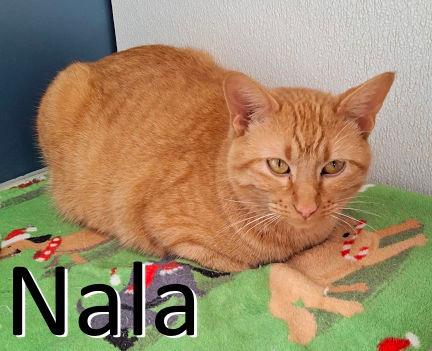 nala