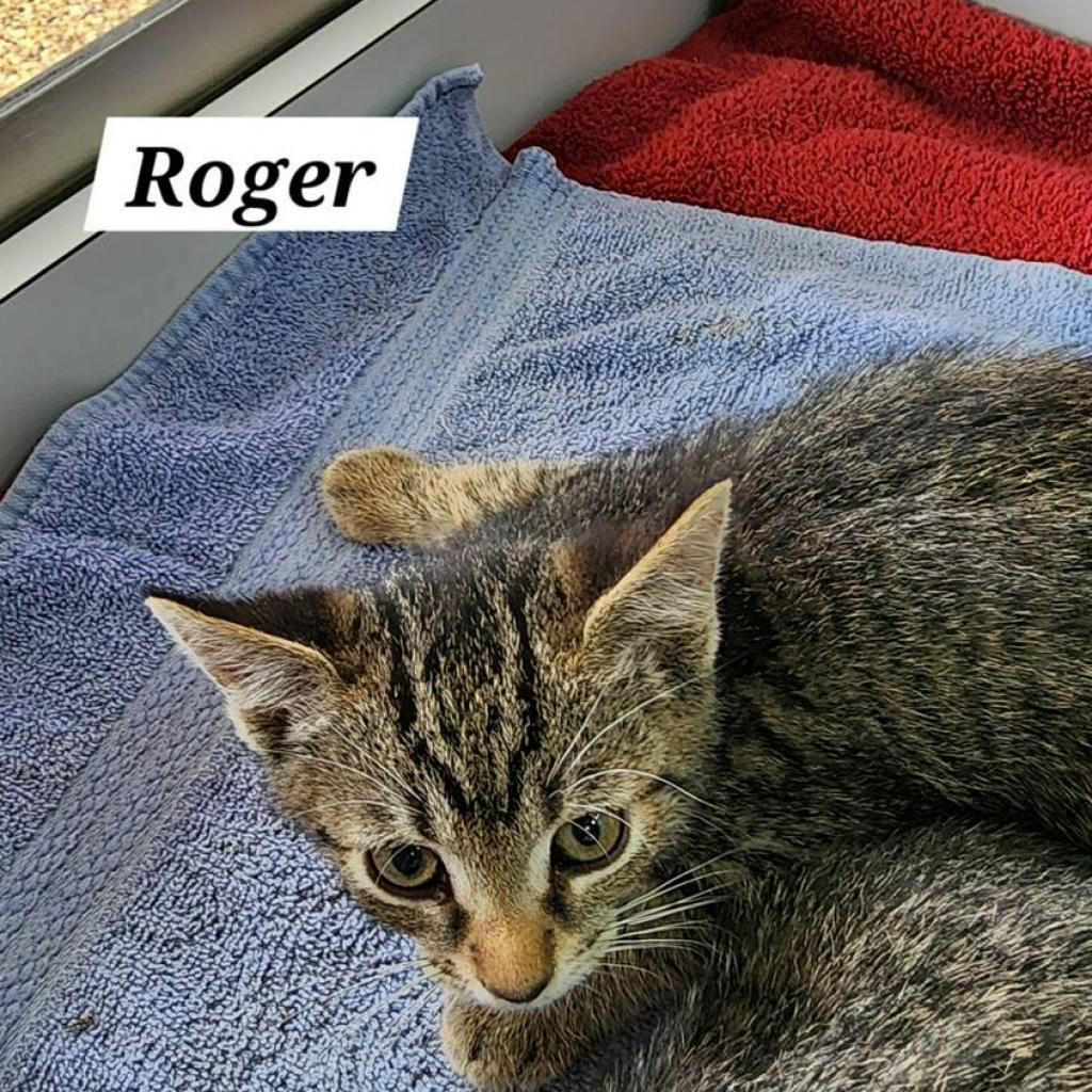 Roger - Annette