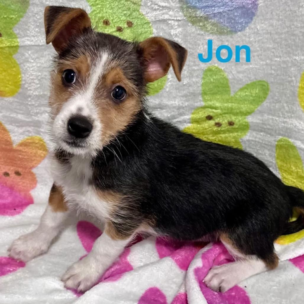 Jon
