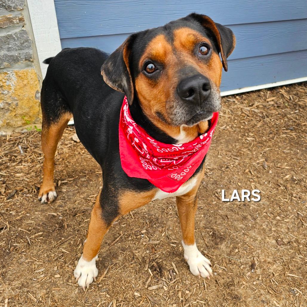 Lars