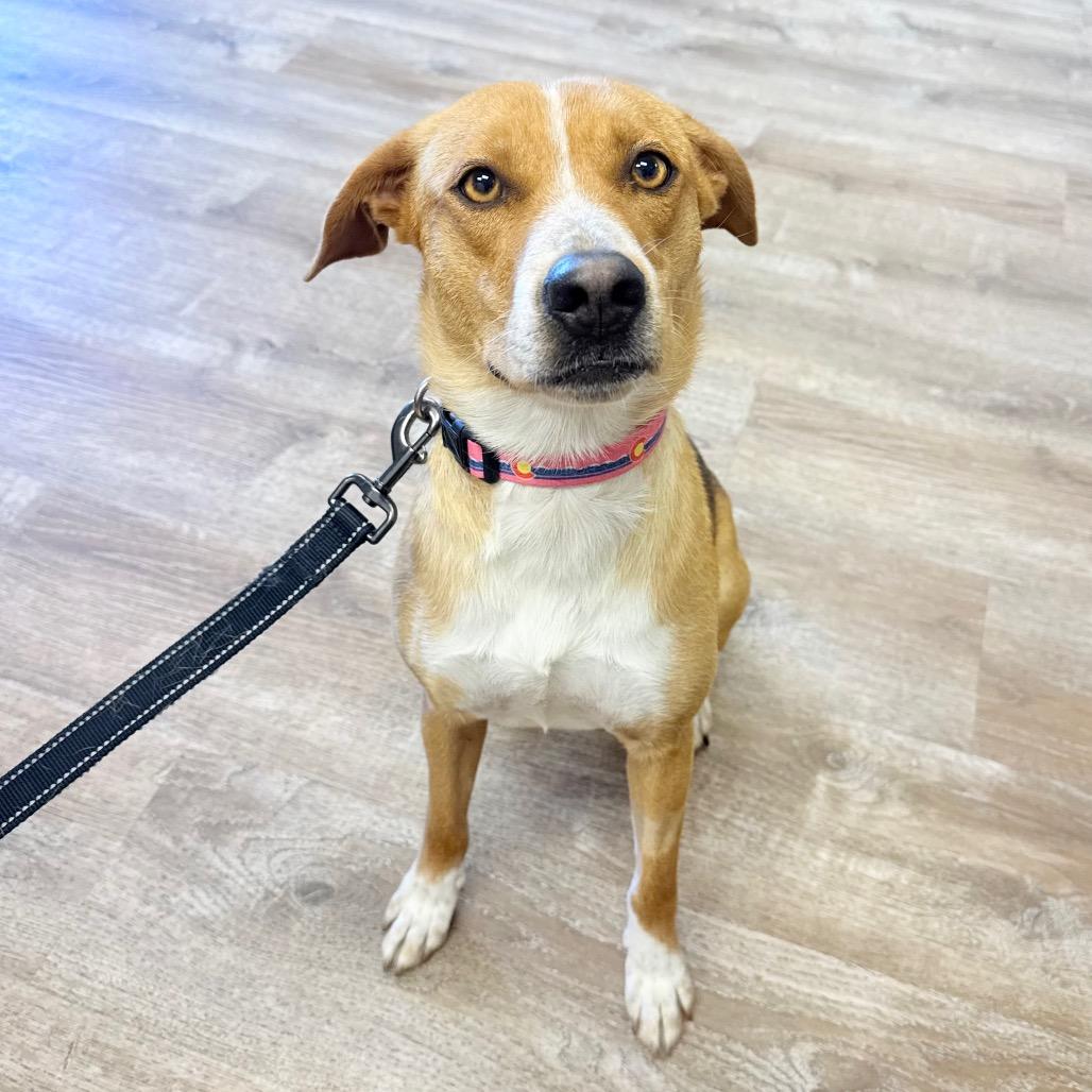 301 (2026) Mama Selina