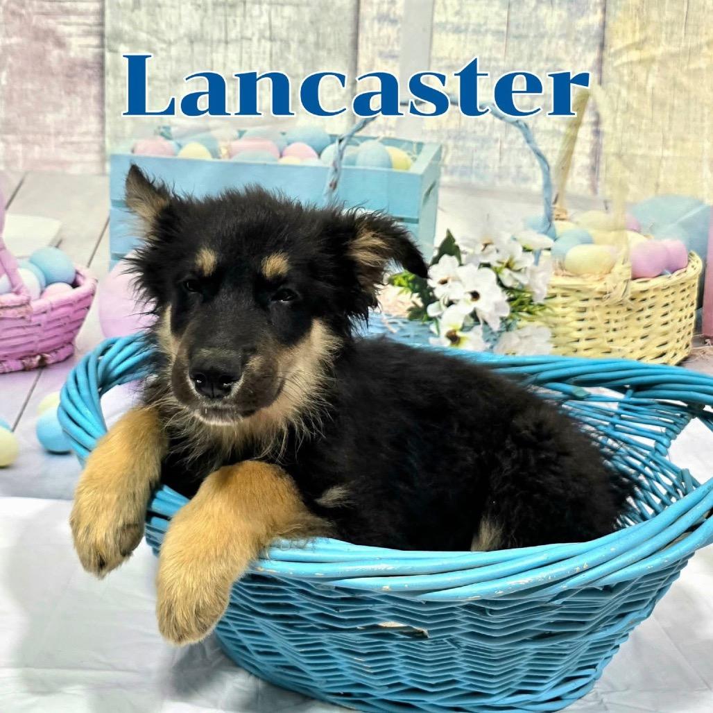 Lancaster
