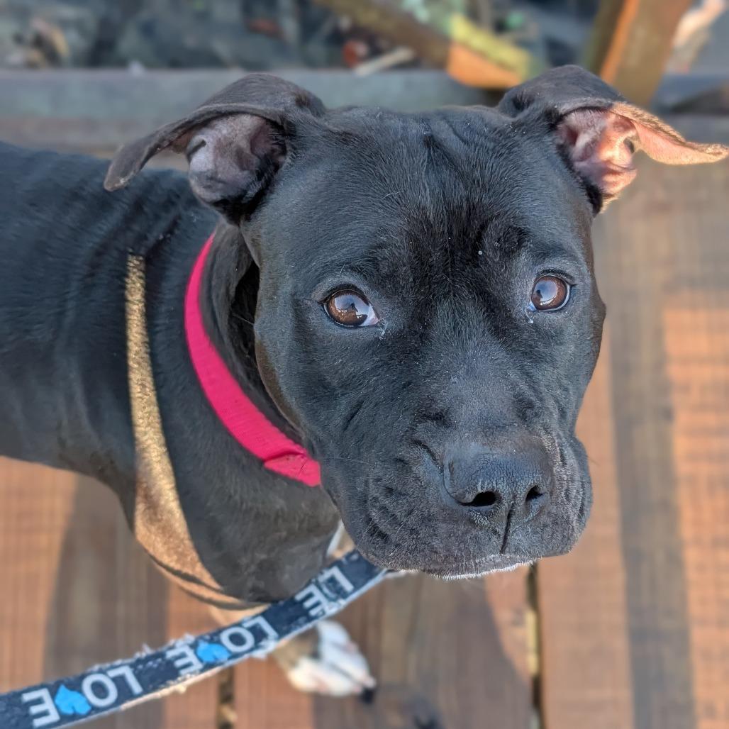 Matilda - In Foster Care