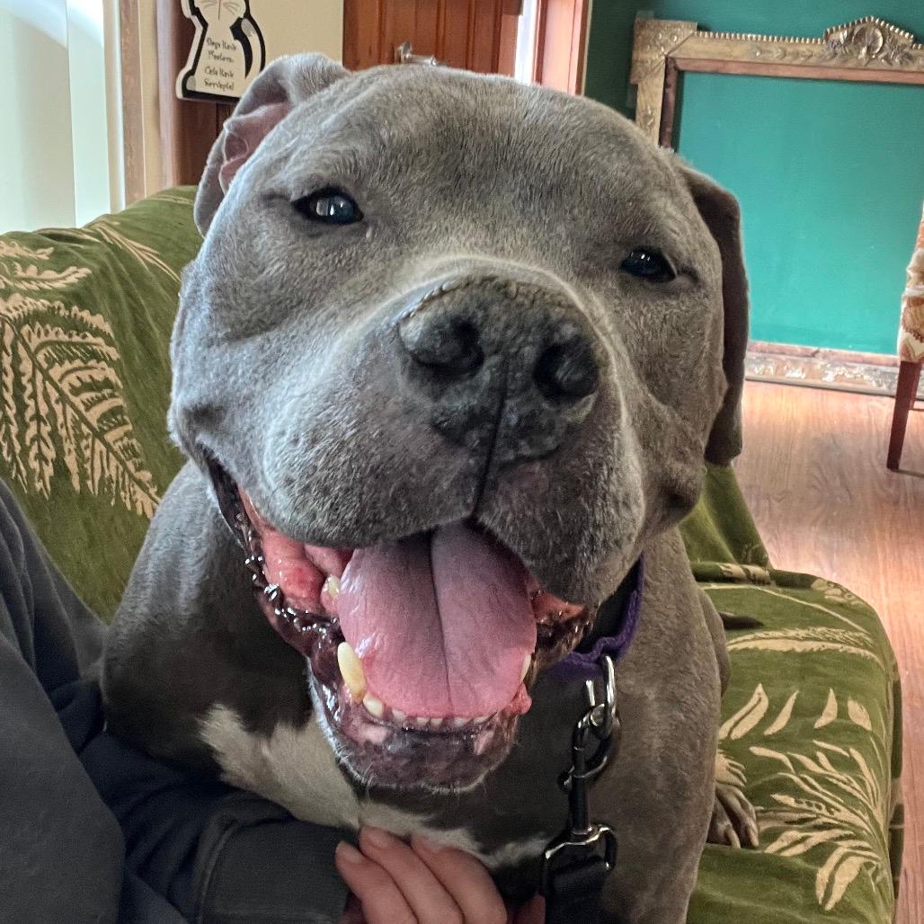 Tyson