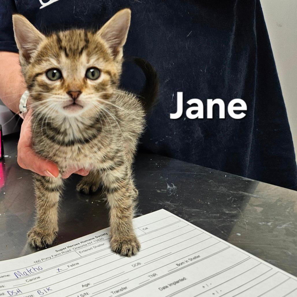 Jane