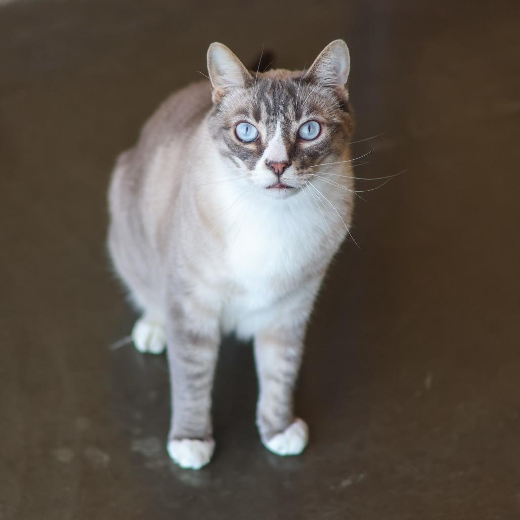 Mulder (bonded with Scully)