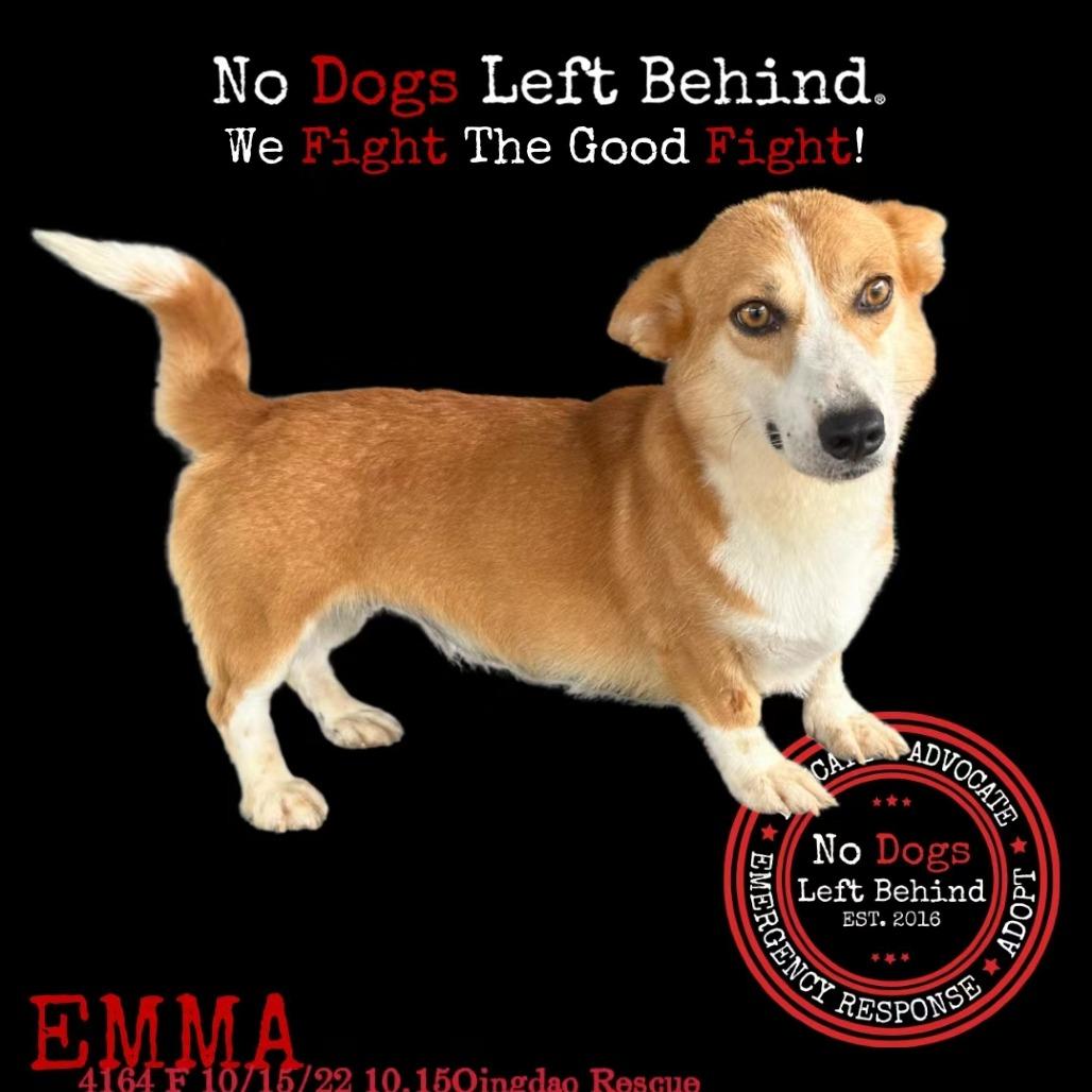 Emma 4164