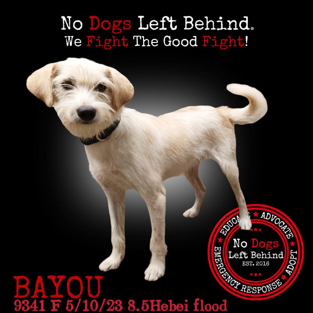 Bayou 9341