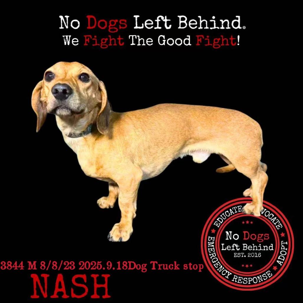 Nash 3844