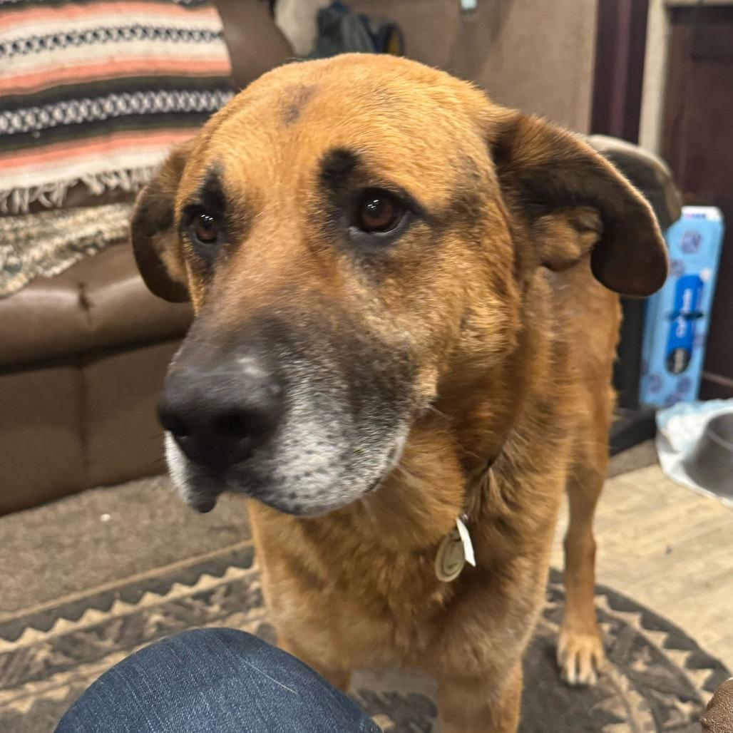 Archie