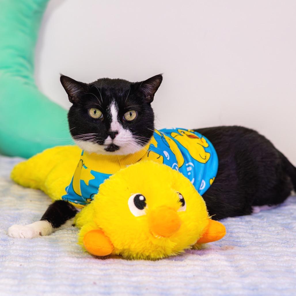 Rusty (Bonded with Bean)