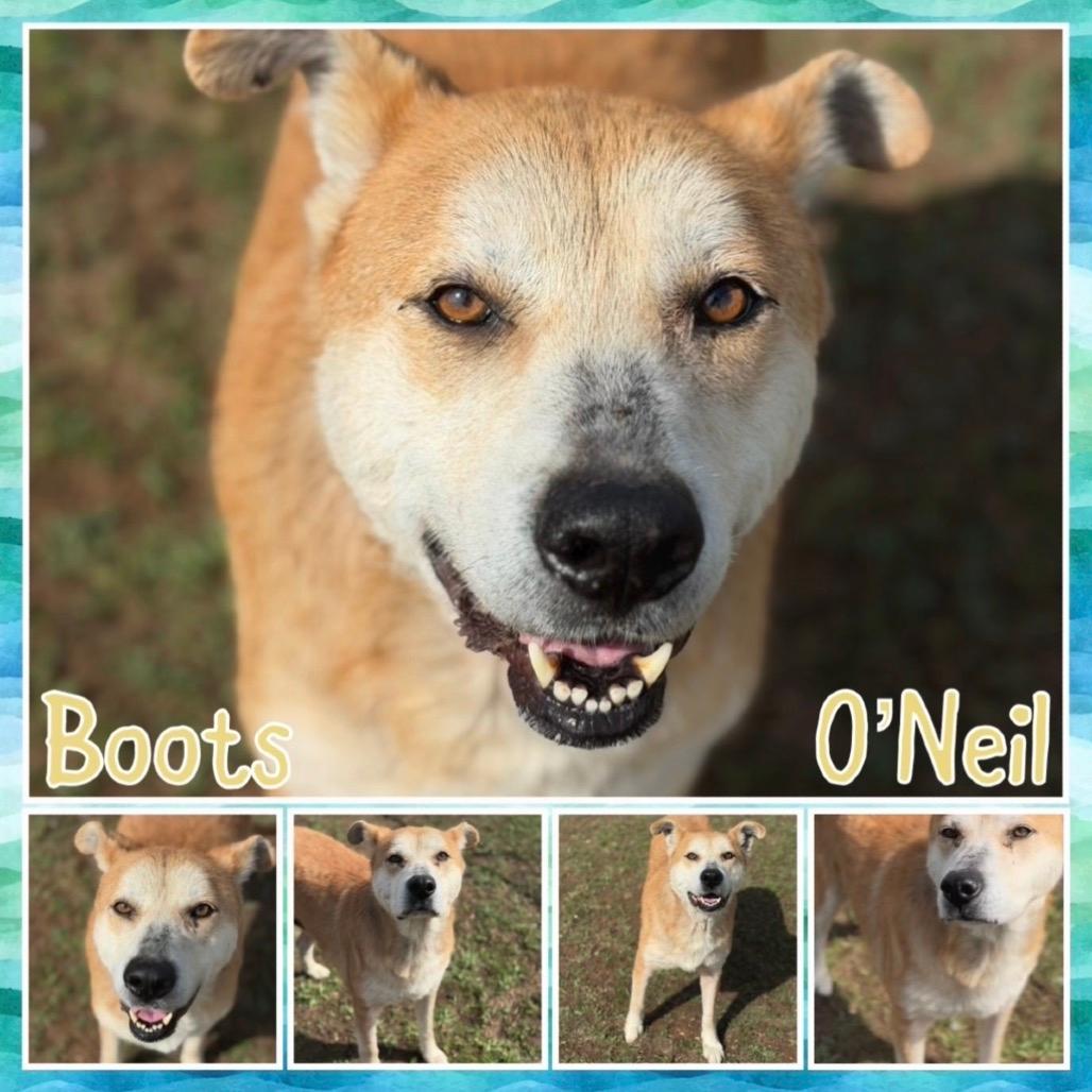 Boots O'Neal