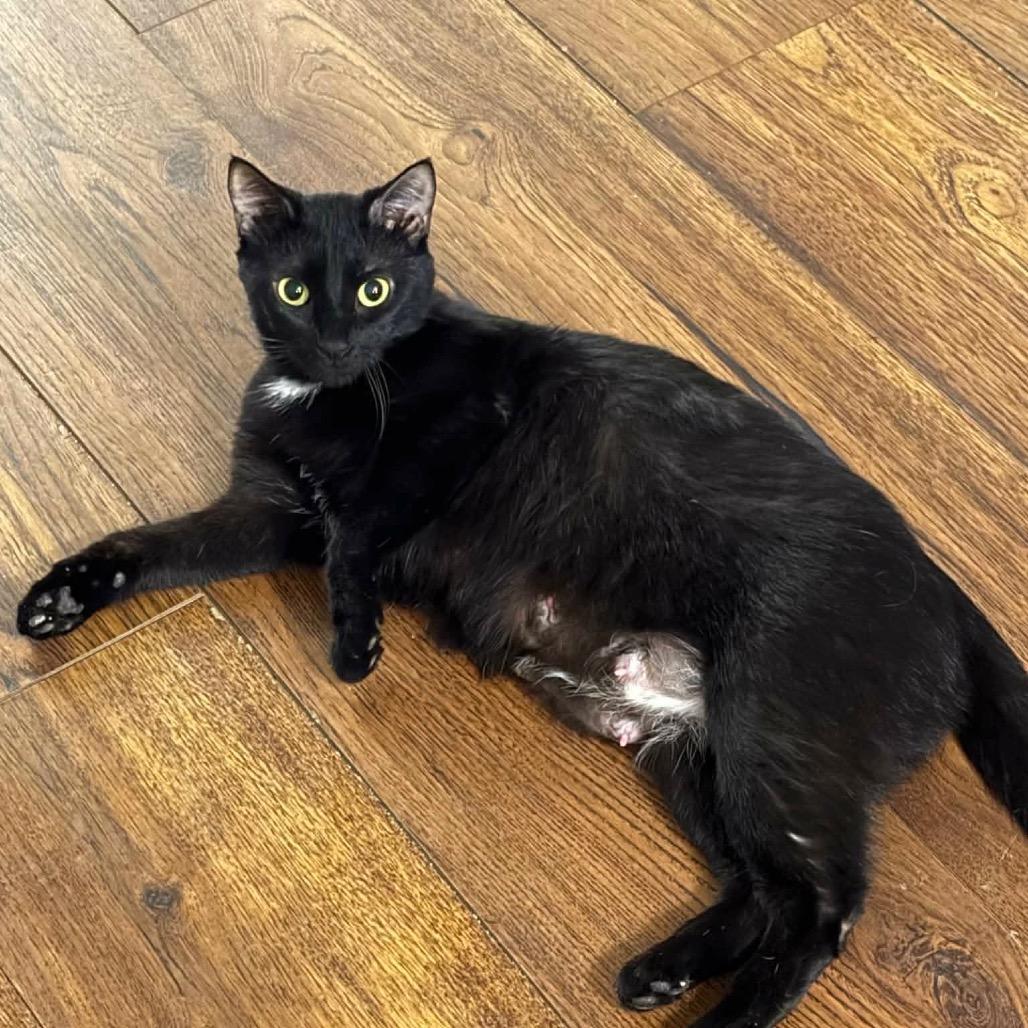 Luna